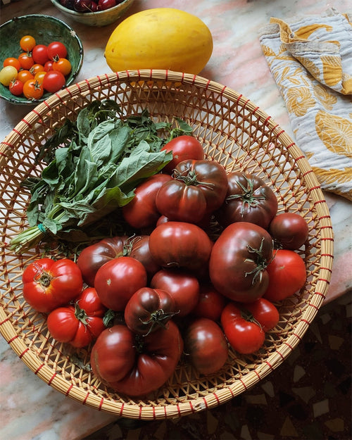 Caprese Salad