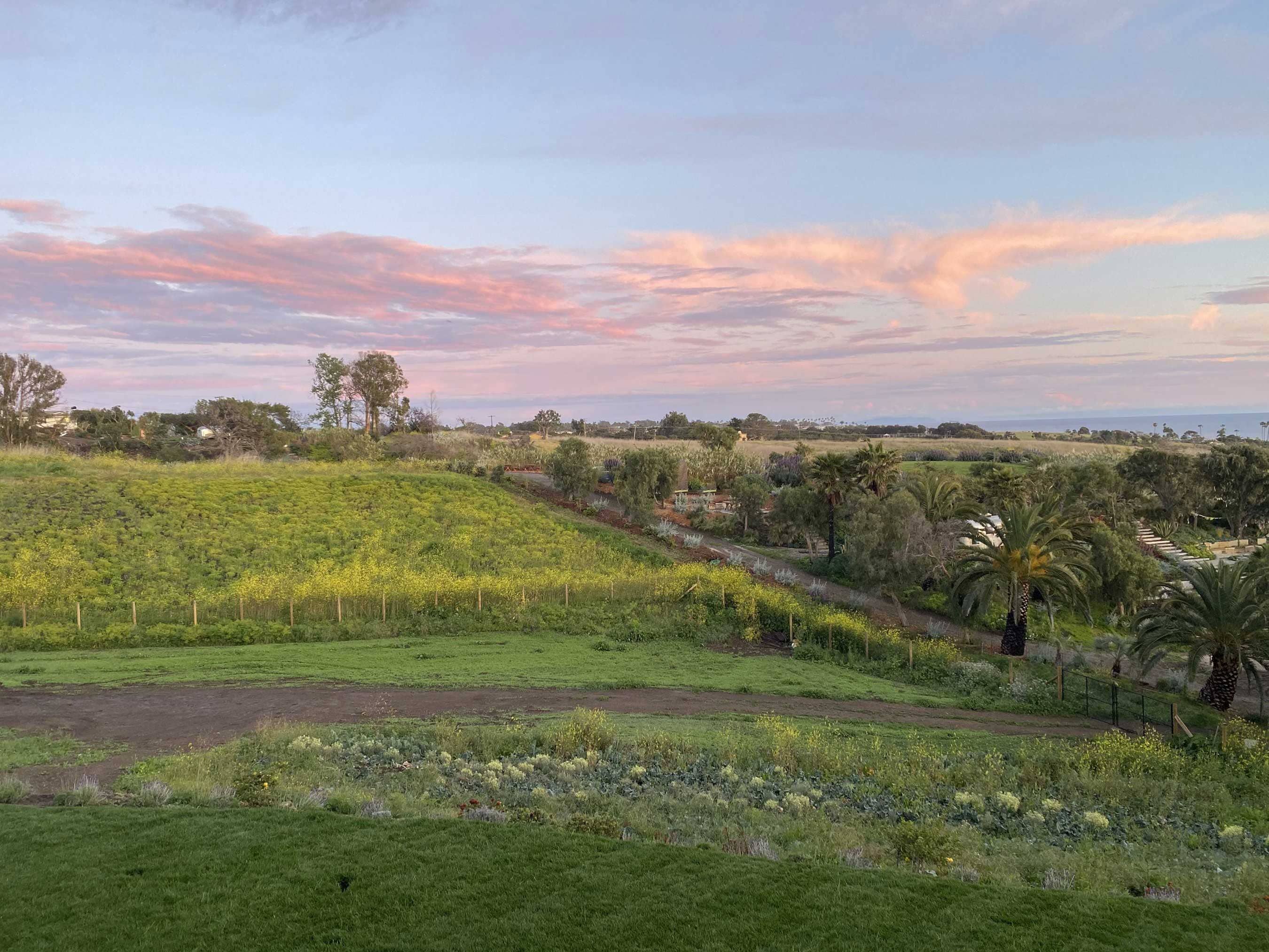 Notes from the Field - Biodynamic Composting