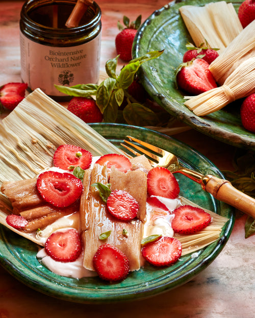 Strawberry Tamale with Salted Honey Coco Cream