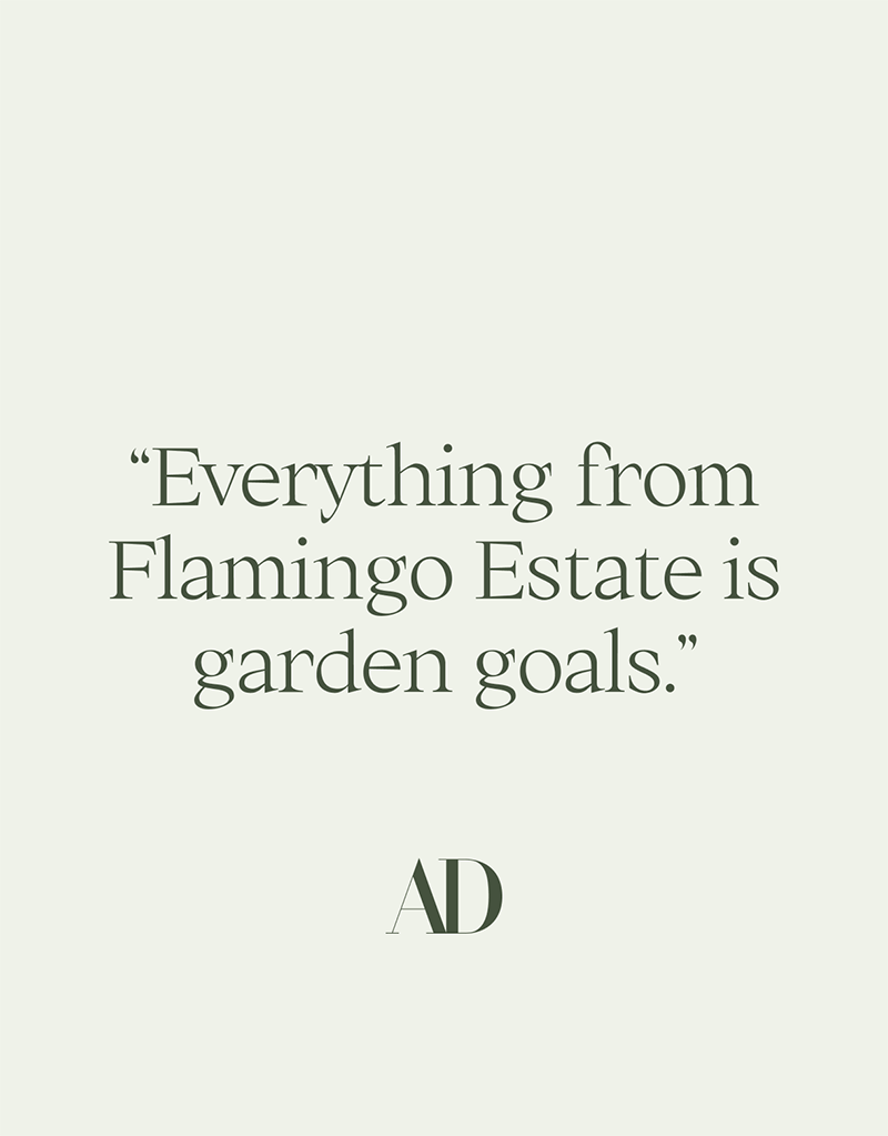 Text reading, “Everything from Flamingo Estate is garden goals.”