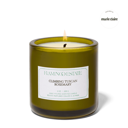 Flamingo Estate Climbing Tuscan Rosemary Candle