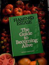 The Guide to Becoming Alive - Flamingo Estate