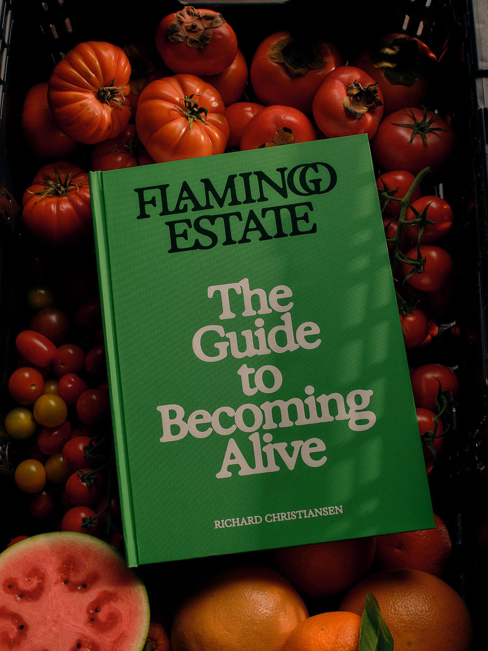 The Guide to Becoming Alive - Flamingo Estate