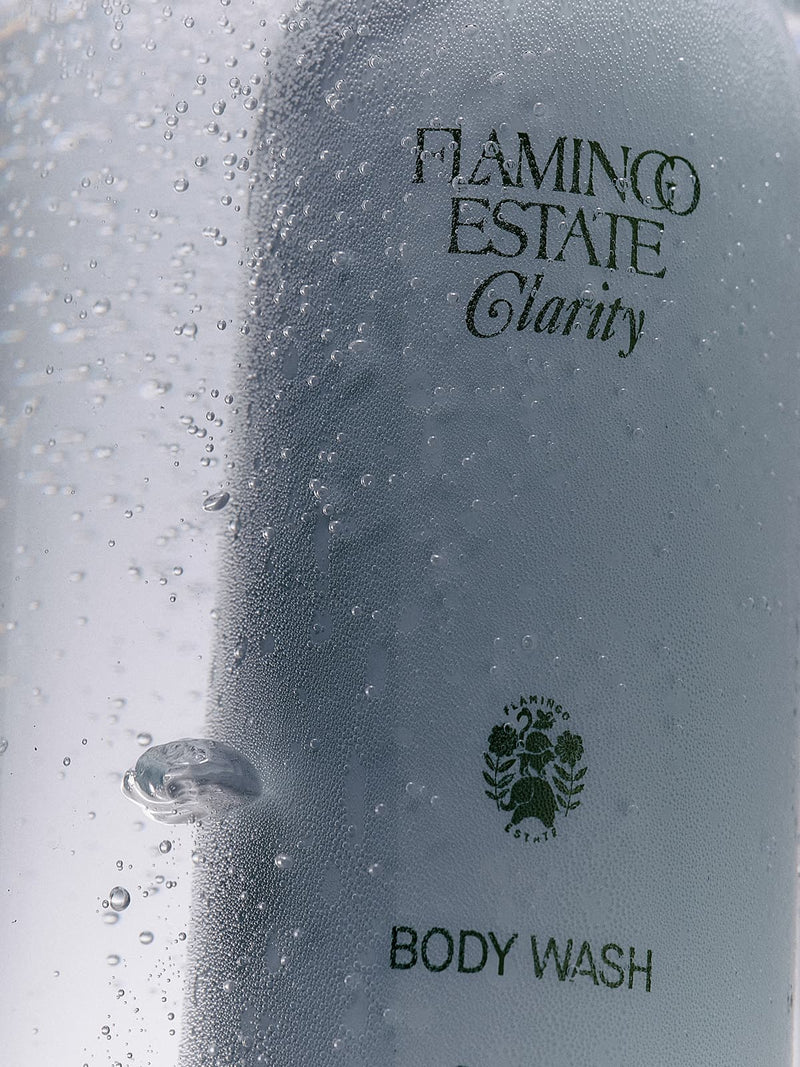 Peppermint & Juniper Berry Body Wash - Flamingo Estate