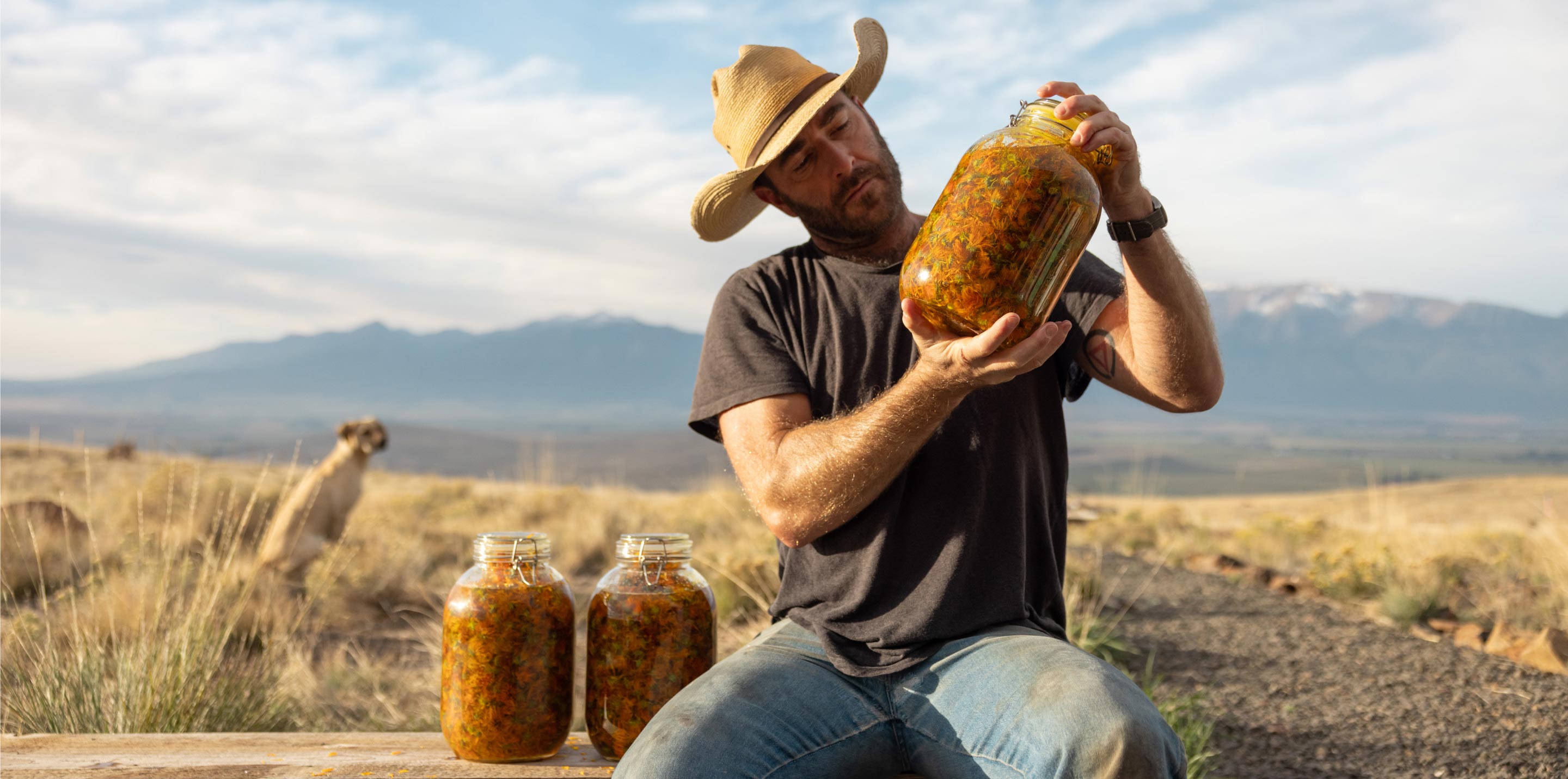 A man in a straw hat examines a large jar of marigold flowers.