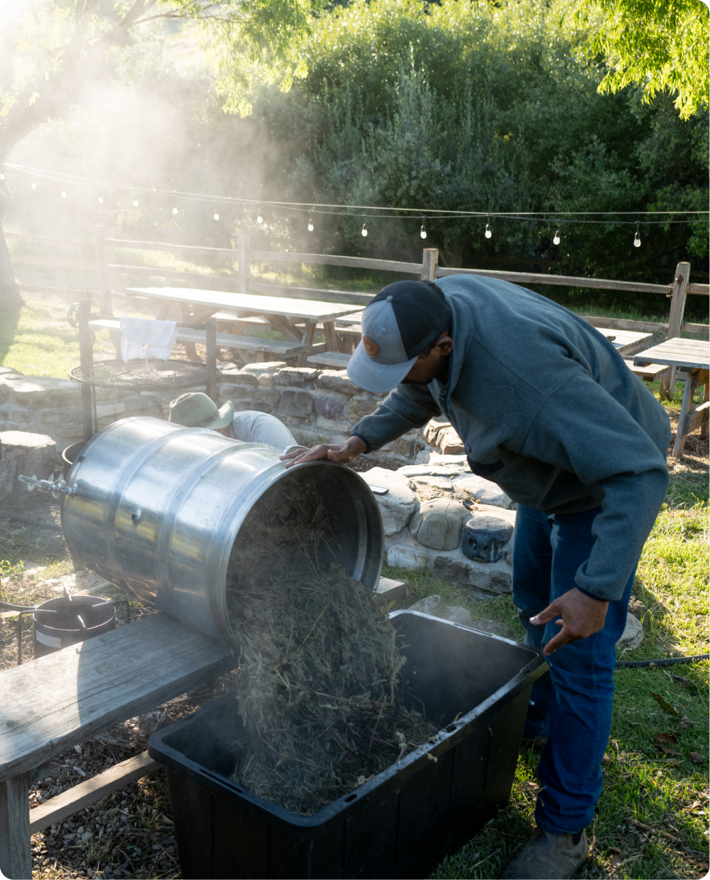 A person empties a metal barrel of plant material into a black container.