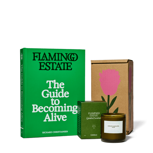 Flamingo Estate The Book Worm Set