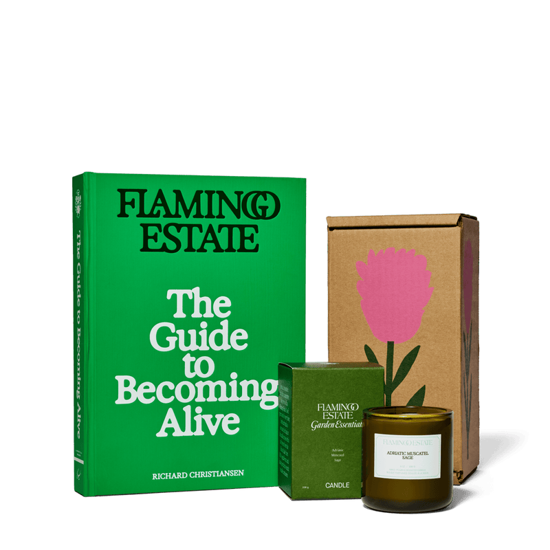 The Book Worm Set - Flamingo Estate