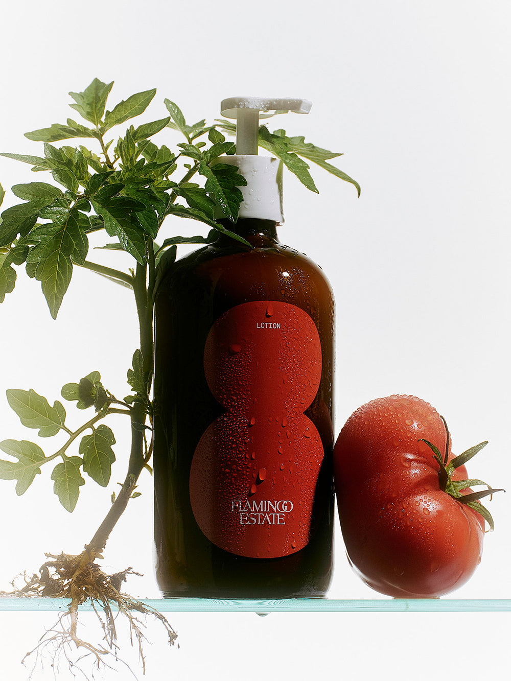 Roma Heirloom Tomato Lotion - Flamingo Estate