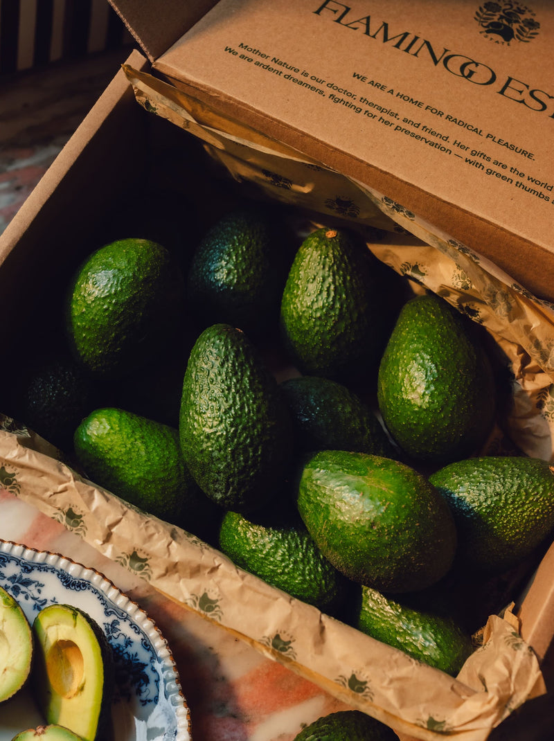 Organic Avocado Box - Flamingo Estate