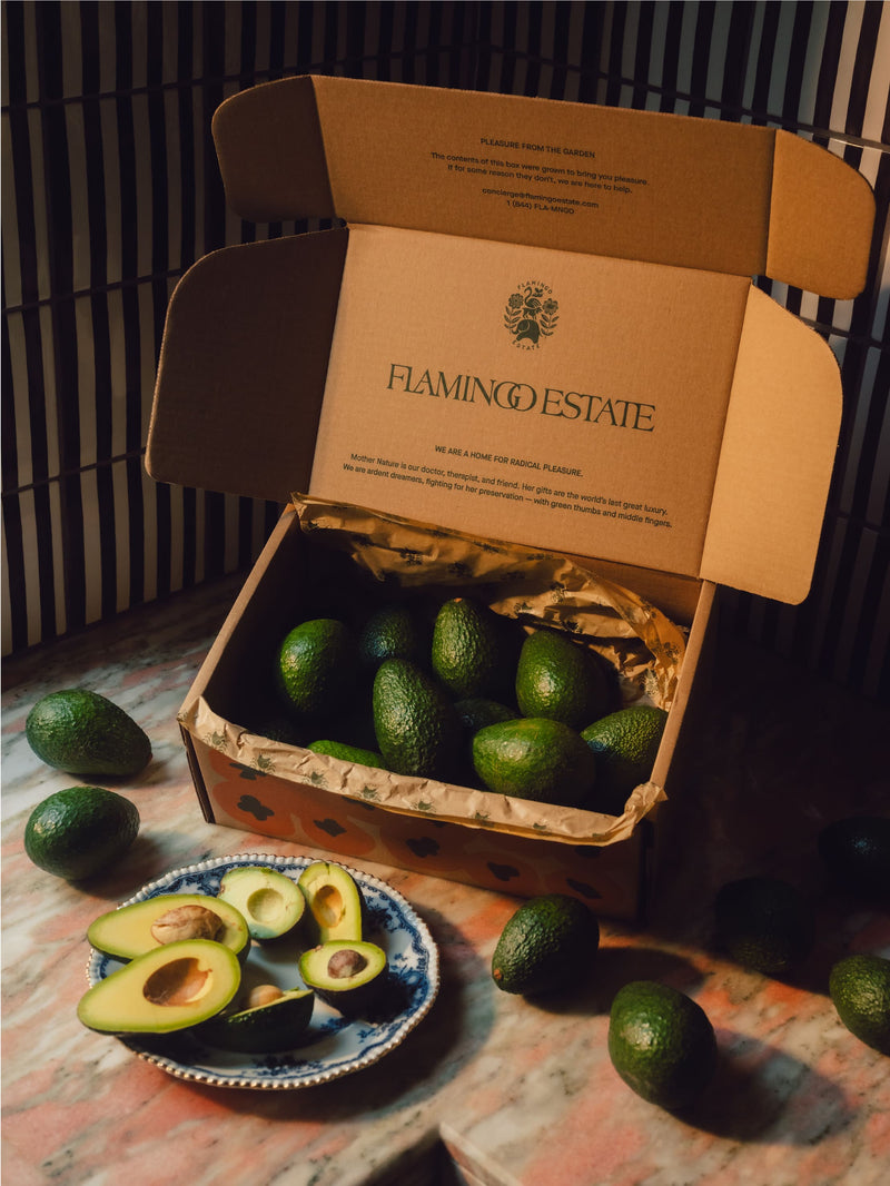 Organic Avocado Box - Flamingo Estate