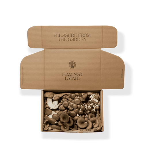 Flamingo Estate Organic Artisanal Mushroom Box